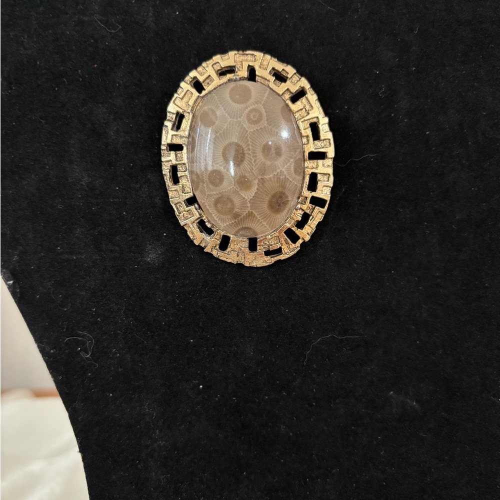 Petosky Stone Pendant Brooch in Gold Tine Frame